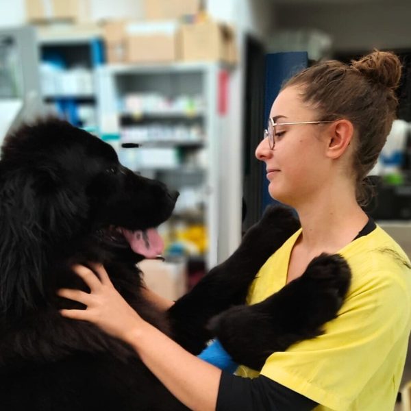 Mathilde – Auxiliaire vétérinaire spécialisée