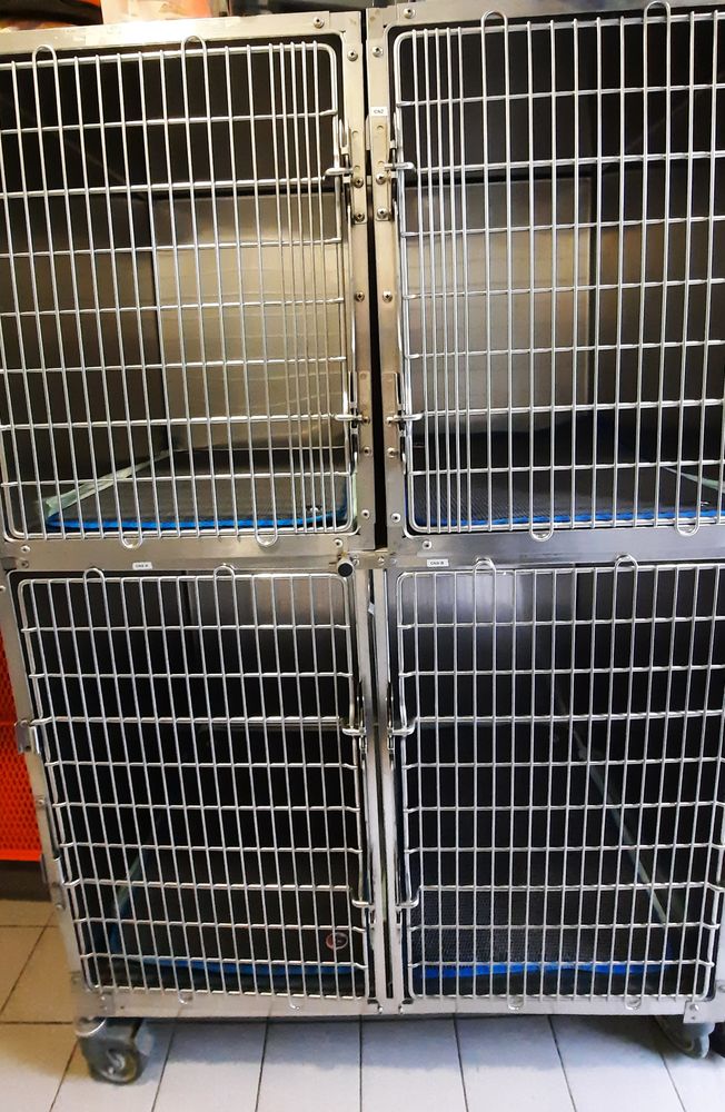 Les box d’hospitalisation du chenil