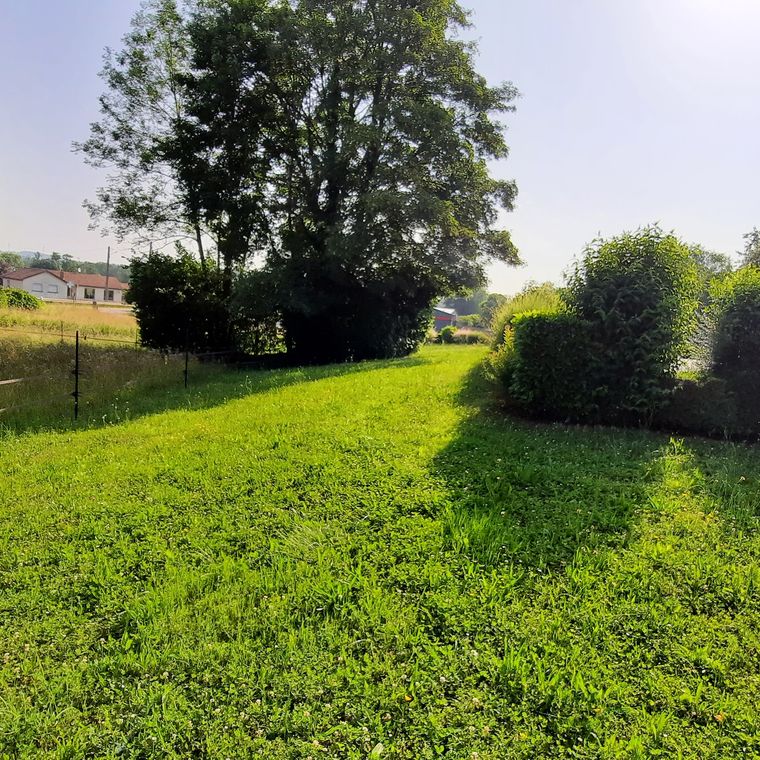 Parc de la clinique